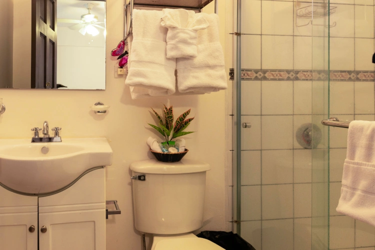 baño-5