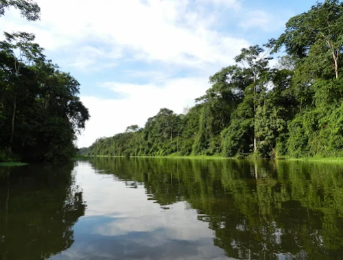 parque-tortuguero